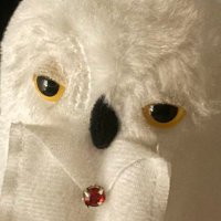 piyo (@nyan___piyo) 's Twitter Profile