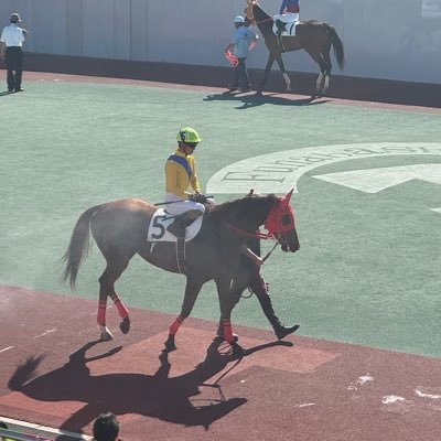 gutdxjuf's profile picture. 