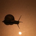 domenico rossi - @domross21 - Twitter