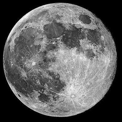 LarissaSilva098's profile picture. 🤍