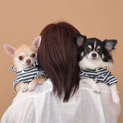 ﾎﾟﾝｺﾂななさんぢ ( ᐛ )ﾁﾜﾜﾜﾝ🐾さんのプロフィール画像