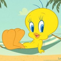 ๐๐ฌ๐๐๐ฉ๐ฎ ๐ฝ๐๐ง๐โก๏ธ (@metweety_) 's Twitter Profile