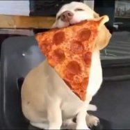 BaenaDonos88669's profile picture. 