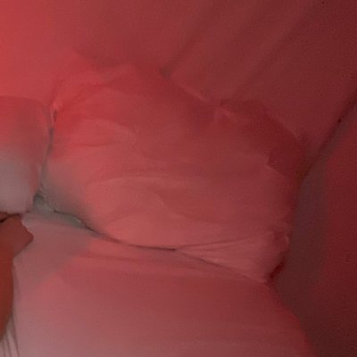 thepinatab's profile picture. BNWO