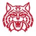 AZTurfCats (@turfcats) Twitter profile photo