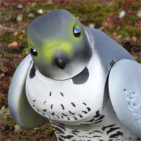 brianrobofalcon's profile picture. 