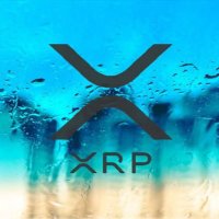 XRP_Pilot (@thexrp_pilot) 's Twitter Profile