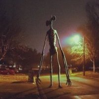 atkins_fra93129's profile picture. 