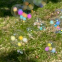 umiʕ•͡ˑ͓•ʔumi 取引垢 (@umi_s21) Twitter profile photo