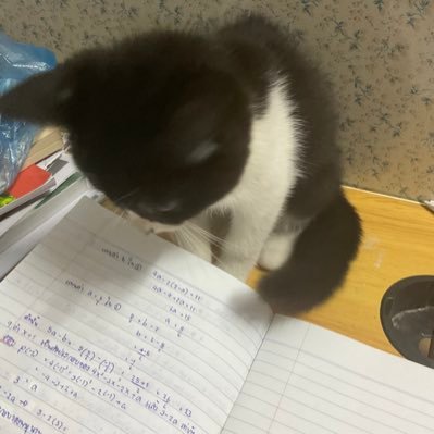 f4nq_yippy's profile picture. 