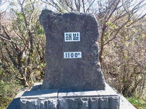 미래에셋생명 제주지점 드림팀