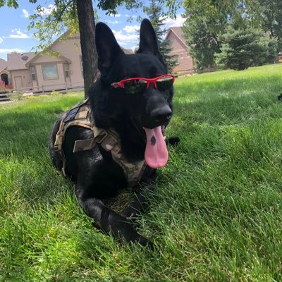 JD2131776's profile picture. Be an independent thinker.