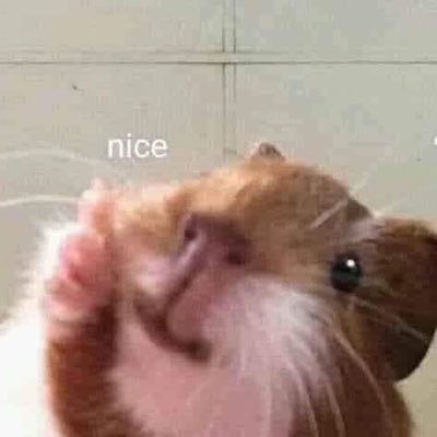 _Dani_luz_'s profile picture. 