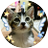 JimaYayoi365