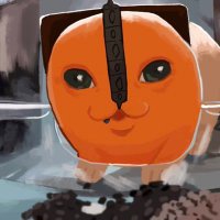 the rarest pokemon (@poke_star12) 's Twitter Profile