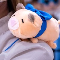 いろの (@irono_desu) 's Twitter Profile
