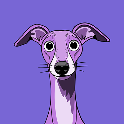 Collection of 1024 mostly purple Italian greyhounds NFTs.
Hosted on @enjin blockchain.
https://t.co/prCrJ4tb0t