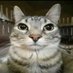 David040928 (@david0409235308) Twitter profile photo David040928 (@david0409235308) Twitter profile photo