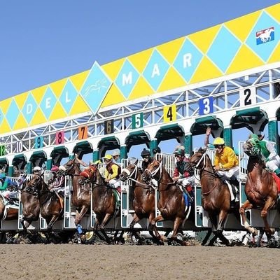 ActionReverse's profile picture. I could go right and end up at the racetrack or I could go left and come home to you ... #Zenyatta ...