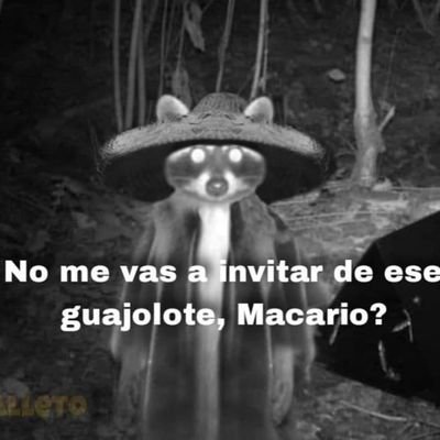 spanki_d's profile picture. Hay que saber perder... pero no ser un perdedor. Tengo sueños pero pus gordo.