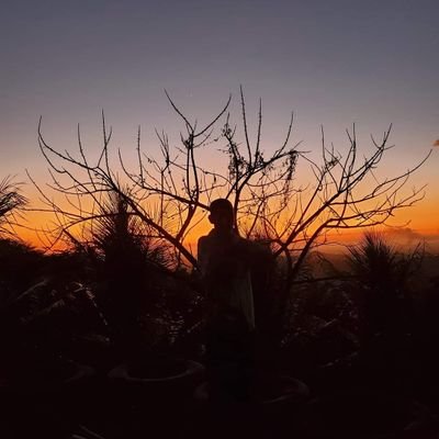 JorgeBl40372324's profile picture. 