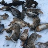 ColleenCun90667's profile picture. Sorry, I’m late. I didn’t want to come.