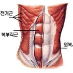 freeweightsAB's profile picture. I am from Republic+Freedom South Korea. Save President Yoon & Freedom Korea. I love activity and exercise like ab roll, ab rollout, Panatta trainning machine.