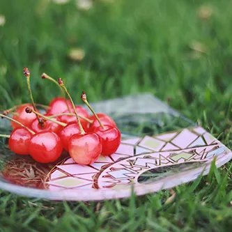 udonudon4901's profile picture. うぬうぬ。名古屋JD