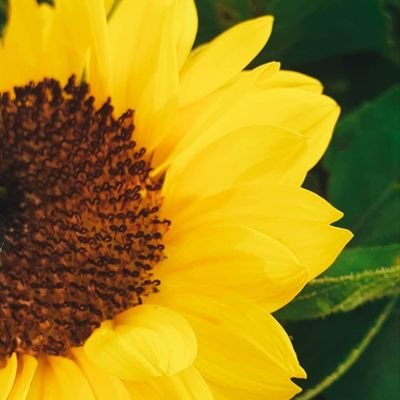 dithyrambos__'s profile picture. 📚 잘했으니까 🍀

Book club @IARC_twt @bookscape_twt