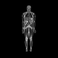 MuscleMap Toolbox (@musclemaptools) 's Twitter Profile Photo MuscleMap Toolbox (@musclemaptools) 's Twitter Profile Photo