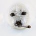 anzu.co.uk (@lockjawcatpaw) Twitter profile photo anzu.co.uk (@lockjawcatpaw) Twitter profile photo