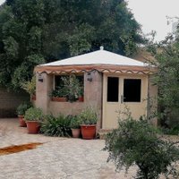Rashid Al Saidi (@rashidalsaidi11) 's Twitter Profile