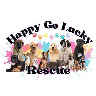 501(c)(3) non-profit organization that provides a safe place for abandoned, abused, and neglected Animals.