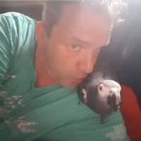 Falk (@petltsc21773) 's Twitter Profile