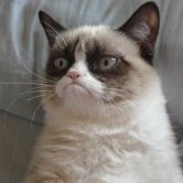 bowen_bren10797's profile picture. Caution: May contain traces of sarcasm.