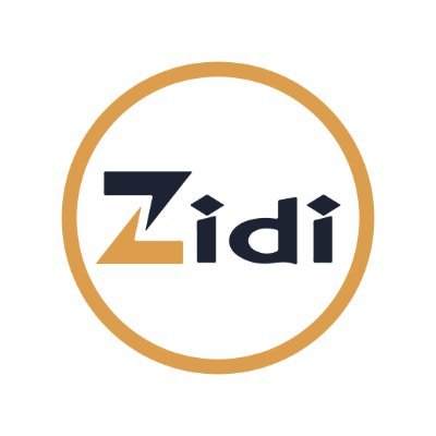 Zidicircle Facilitates diaspora-led development in host and home countries through : -Supporting and training high potential diaspora entrepreneurs and investor