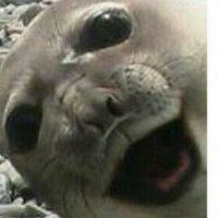 ぞね (@ab6qwvhgx752639) 's Twitter Profile