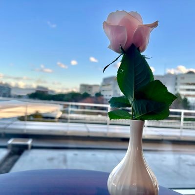 yukinonn_darts's profile picture. 家でダーツしてる