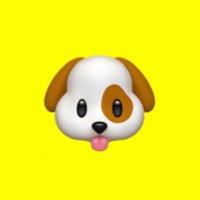 ʏᴜɪɴᴀ🐶💛 (@m_mnt92) 's Twitter Profile