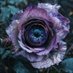 ♏️Seer (@plrr369) Twitter profile photo ♏️Seer (@plrr369) Twitter profile photo