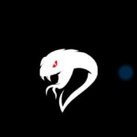 Cobra (@cobraallarts) 's Twitter Profile