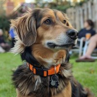 UrbanBotics (@aiwizbot) 's Twitter Profile