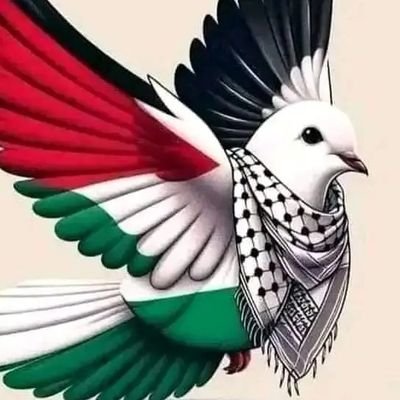 I hope you can help me even with a dollar. Thank you. ❤https://t.co/60uK53VoA6
