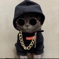Basel (@basel227777) 's Twitter Profile