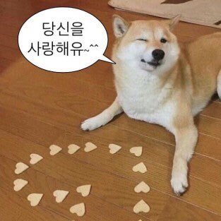 큐비(cubie)さんのプロフィール画像