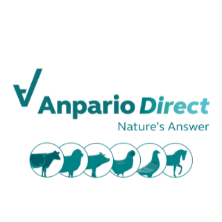 AnparioDirect's profile picture. Anpario Direct offers natural feed additive solutions for livestock, pigeon & equine health and performance. Order online - delivered straight to your doorstep!