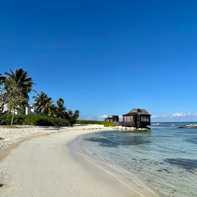 n_theodoratos's profile picture. 