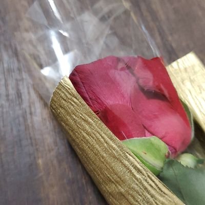 ayay_ay_ayay's profile picture. 無言フォロー失礼いたします。操作方法よくわからなくて、勉強中です。すいません。神宮寺さんのファンの方のファンです。柔らかくて可愛らしいコメントが微笑ましくて。笑いの神がおりてるコメントも大好きです。大学生２高校生１の三兄弟の母親してます。娘がいたらこんな感じ？と思いつつ。…ATAMIやばい。好きです。