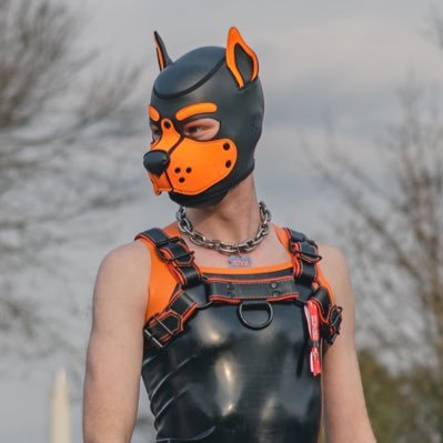 Awroo, horny dogs are gonna be horny… what else did you expect to see 😛