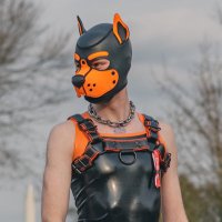 Pup.Kiva (@pup_kiva) 's Twitter Profile Photo Pup.Kiva (@pup_kiva) 's Twitter Profile Photo
